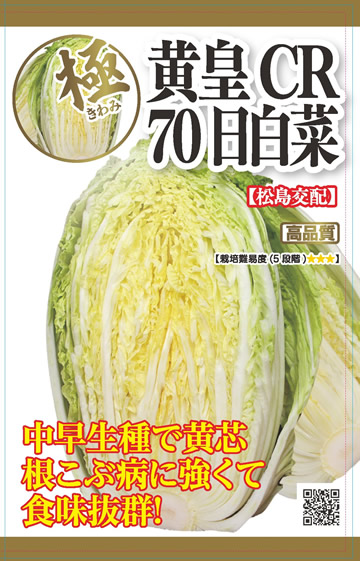 黄皇CR70日白菜